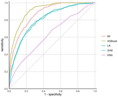 Using Machine Learning Techniques to Develop Risk Prediction Models for the Risk of Incident Diabetic Retinopathy Among Patients With Type 2 Diabetes Mellitus: A Cohort Study